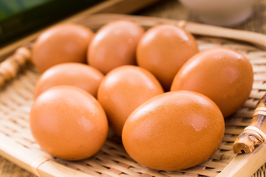 egg02